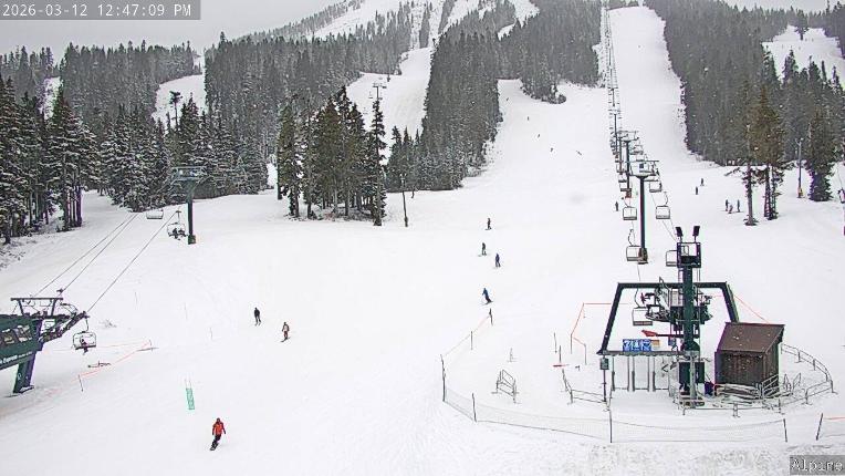 Webcam Mount Washington: Alpine Cam