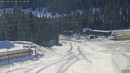 Mount Washington: Alpine Cam (mountwashington.ca)