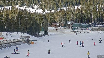 Mount Washington: Alpine Cam (mountwashington.ca)