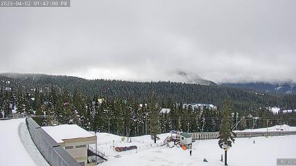 Mount Washington: Alpine Cam (mountwashington.ca)