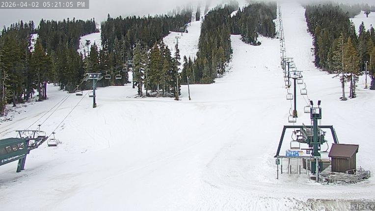 Webcam Mount Washington: Alpine Cam