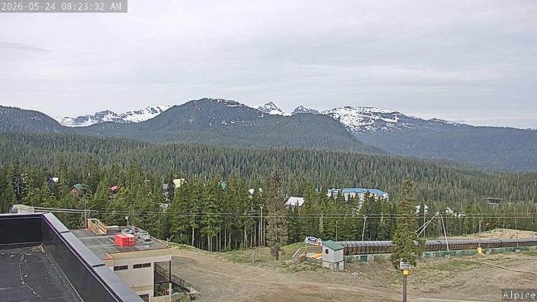 Webcam Mount Washington: Alpine Cam