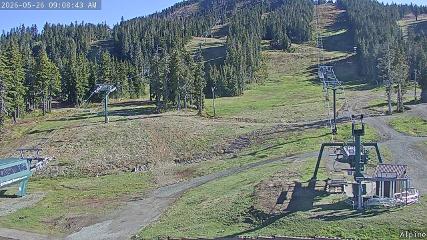 Mount Washington: Alpine Cam (mountwashington.ca)