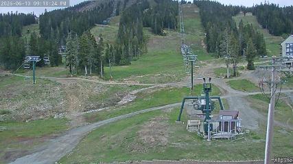 Mount Washington: Alpine Cam (mountwashington.ca)