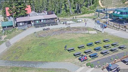 Mount Washington: Alpine Cam (mountwashington.ca)