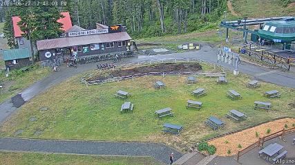 Mount Washington: Alpine Cam (mountwashington.ca)