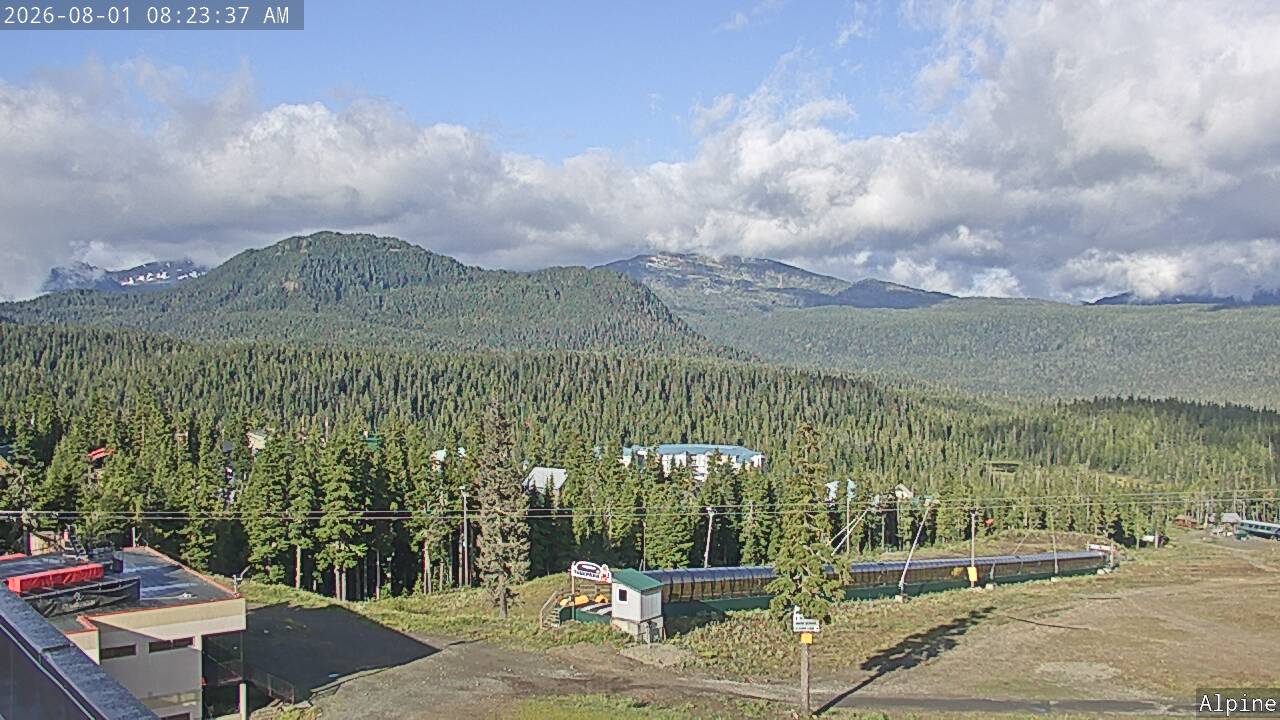 Webcam Mount Washington: Alpine Cam