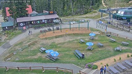 Mount Washington: Alpine Cam (mountwashington.ca)