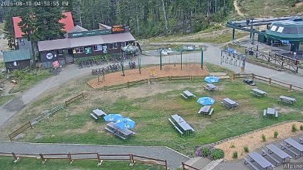 Mount Washington: Alpine Cam (mountwashington.ca)