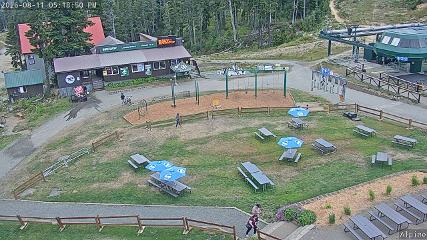 Mount Washington: Alpine Cam (mountwashington.ca)