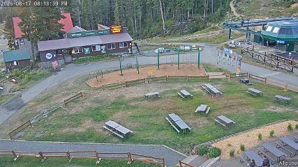 Mount Washington: Alpine Cam (mountwashington.ca)