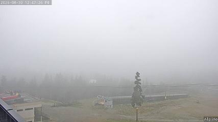 Mount Washington: Alpine Cam (mountwashington.ca)