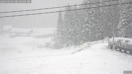 Mount Washington: Alpine Cam (mountwashington.ca)