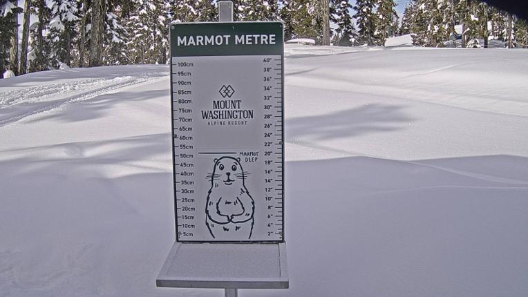 Webcam Mount Washington: Marmot Metre