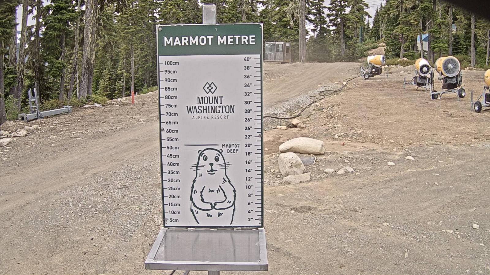 Webcam Mount Washington: Marmot Metre