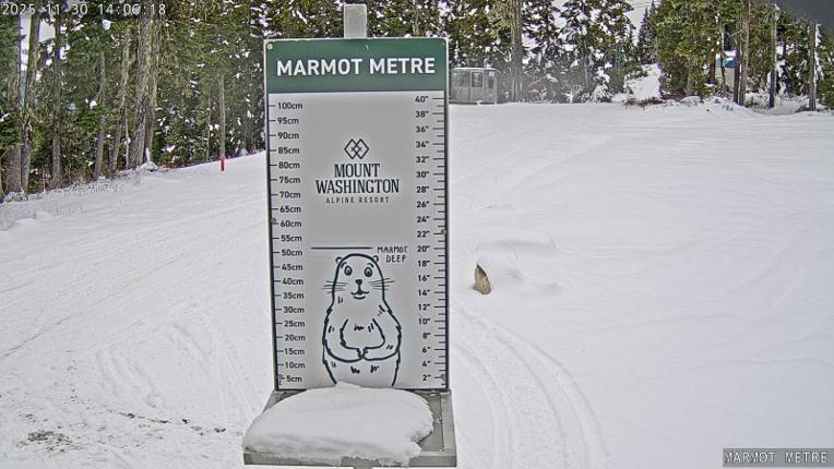 Webcam Mount Washington: Marmot Metre