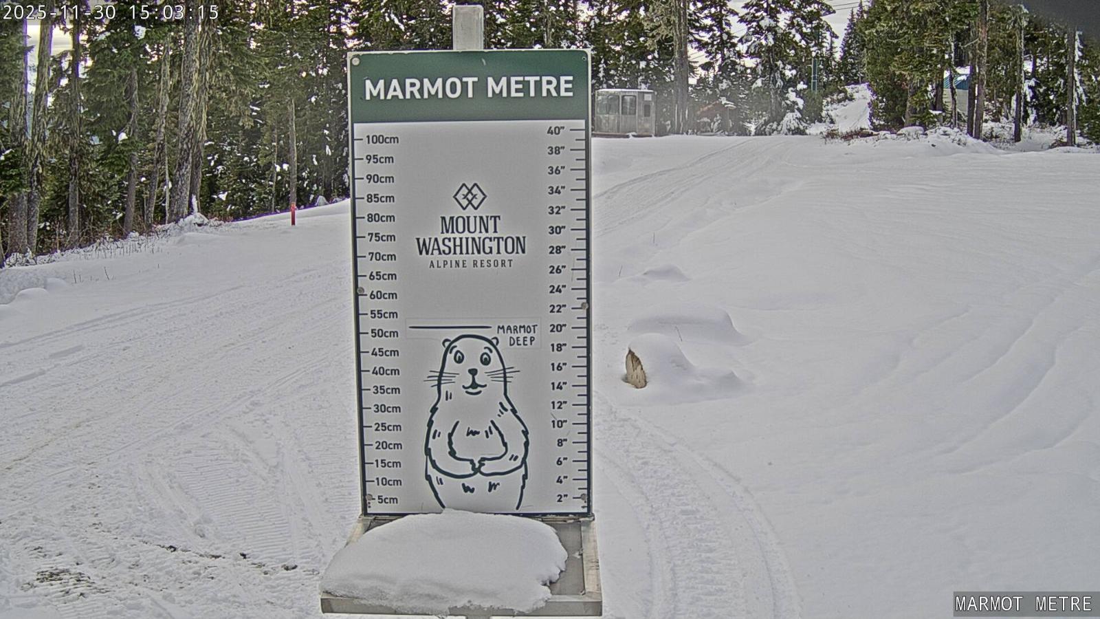 Webcam Mount Washington: Marmot Metre