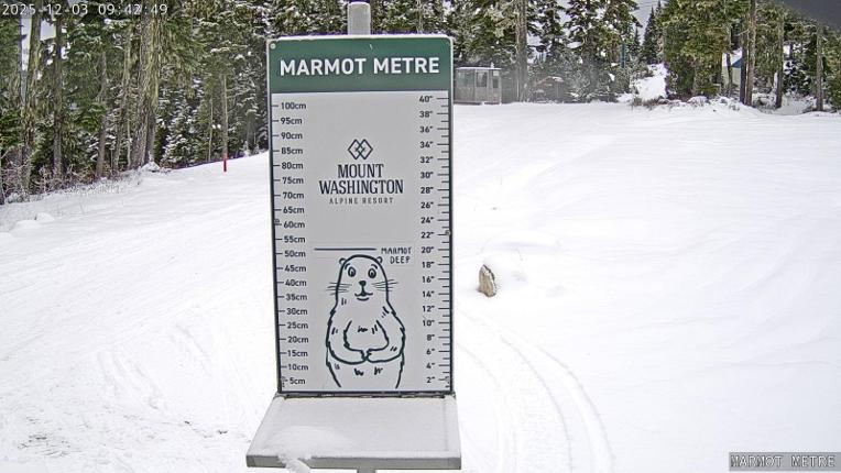 Webcam Mount Washington: Marmot Metre