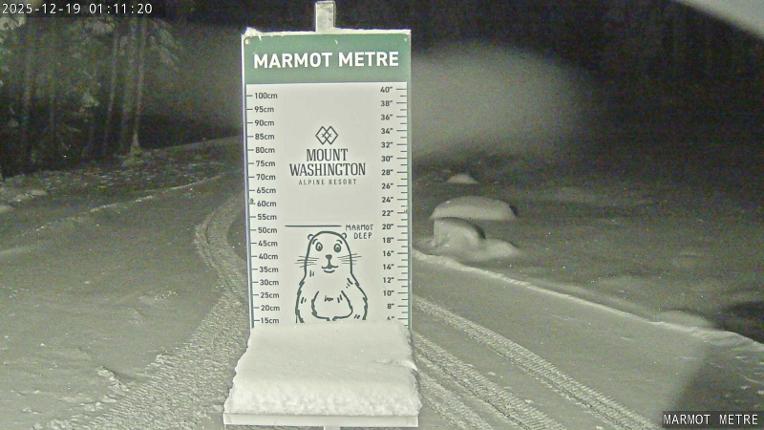 Webcam Mount Washington: Marmot Metre