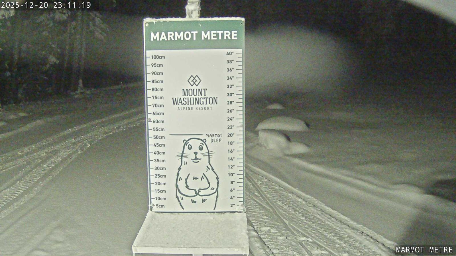 Webcam Mount Washington: Marmot Metre