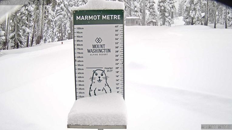 Webcam Mount Washington: Marmot Metre