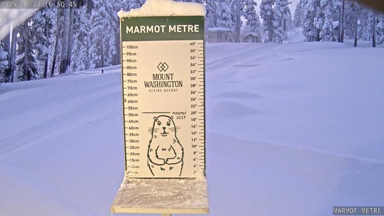 Webcam Mount Washington: Marmot Metre