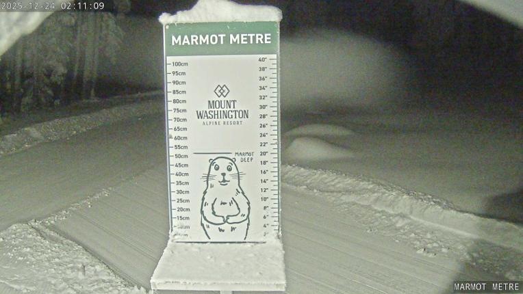 Webcam Mount Washington: Marmot Metre
