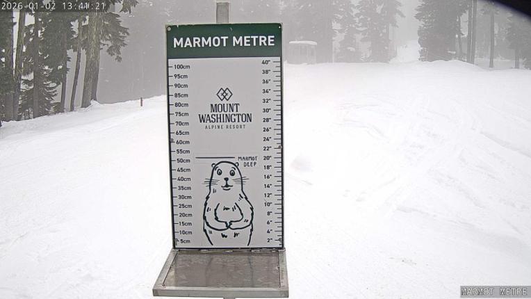 Webcam Mount Washington: Marmot Metre