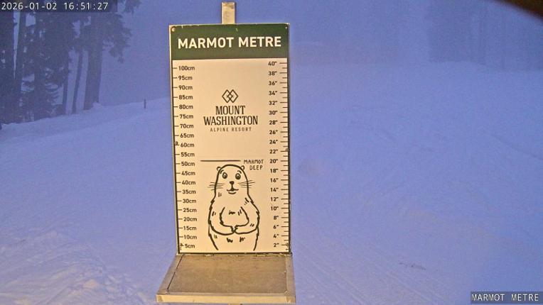 Webcam Mount Washington: Marmot Metre