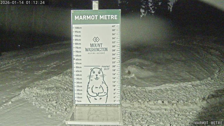 Webcam Mount Washington: Marmot Metre