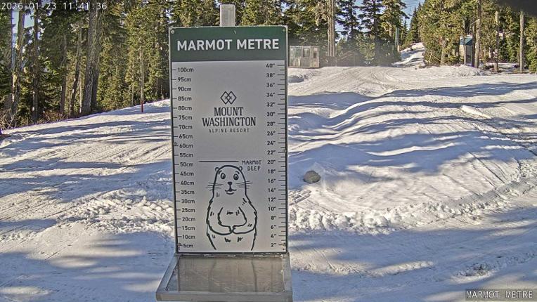 Webcam Mount Washington: Marmot Metre