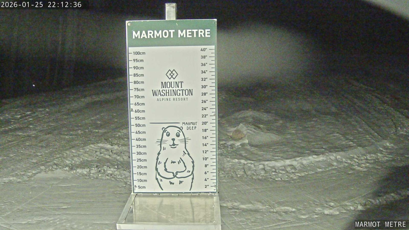 Webcam Mount Washington: Marmot Metre