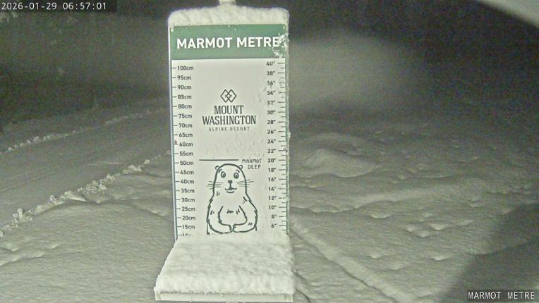 Webcam Mount Washington: Marmot Metre