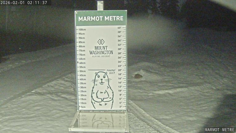 Webcam Mount Washington: Marmot Metre
