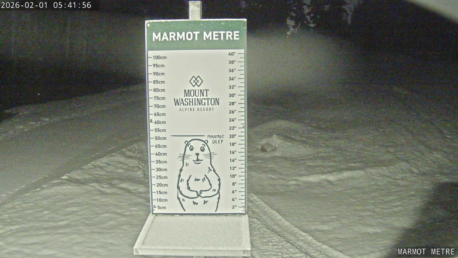 Webcam Mount Washington: Marmot Metre