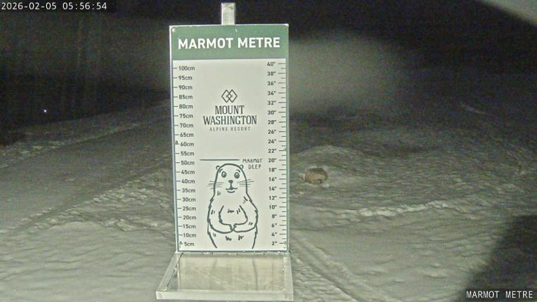 Webcam Mount Washington: Marmot Metre