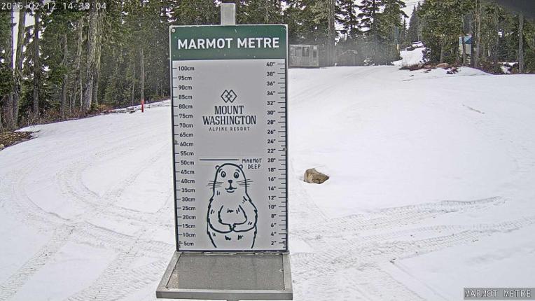 Webcam Mount Washington: Marmot Metre