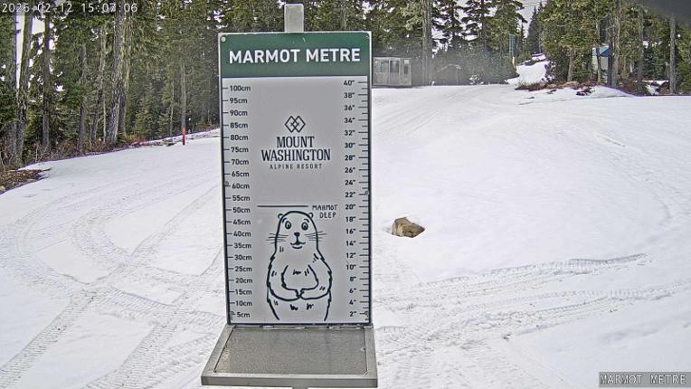 Webcam Mount Washington: Marmot Metre