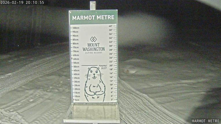 Webcam Mount Washington: Marmot Metre