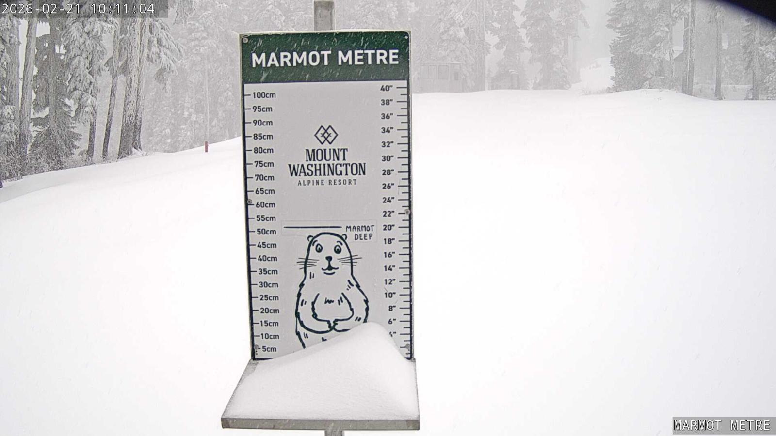 Webcam Mount Washington: Marmot Metre