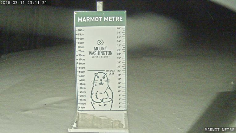 Webcam Mount Washington: Marmot Metre