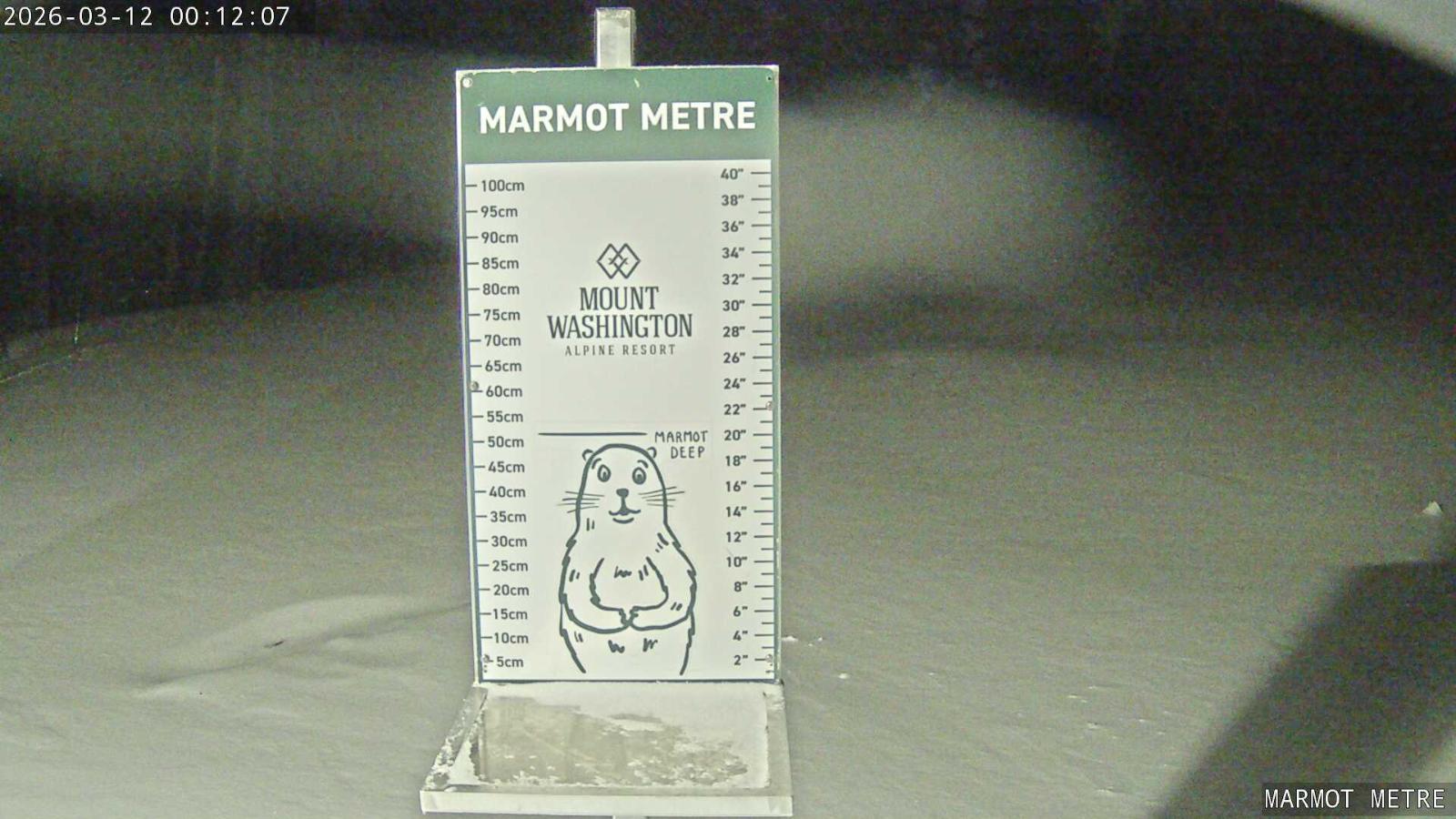 Webcam Mount Washington: Marmot Metre