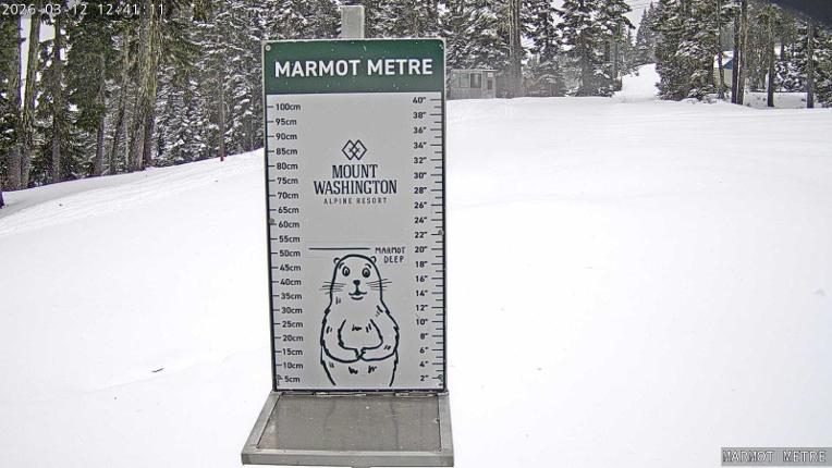Webcam Mount Washington: Marmot Metre