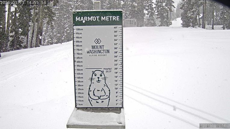 Webcam Mount Washington: Marmot Metre