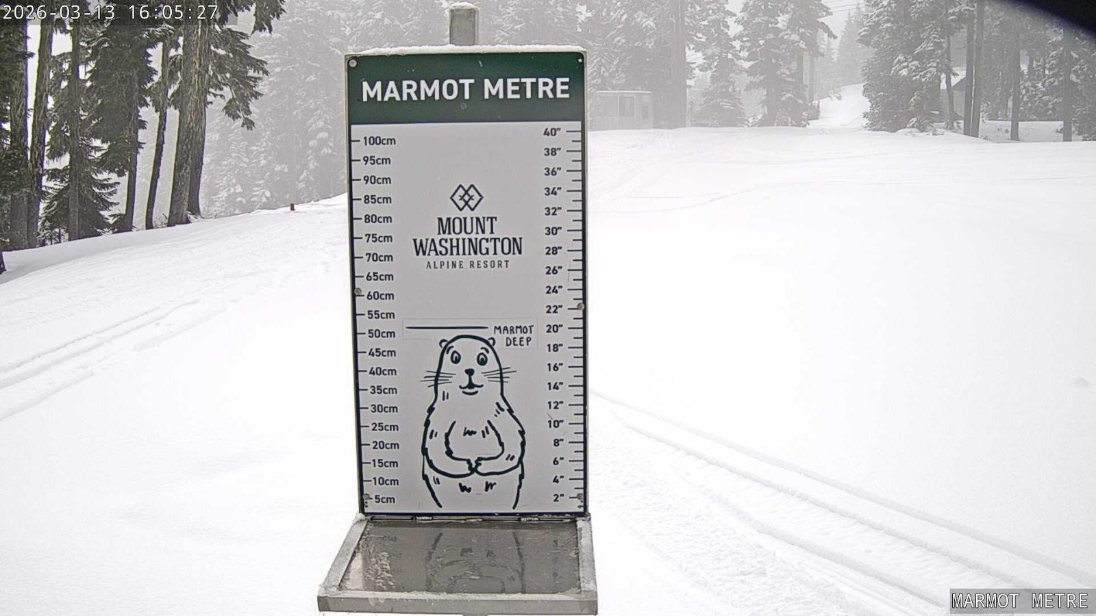 Webcam Mount Washington: Marmot Metre