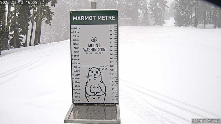 Webcam Mount Washington: Marmot Metre