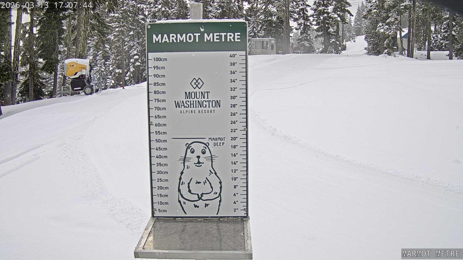 Webcam Mount Washington: Marmot Metre