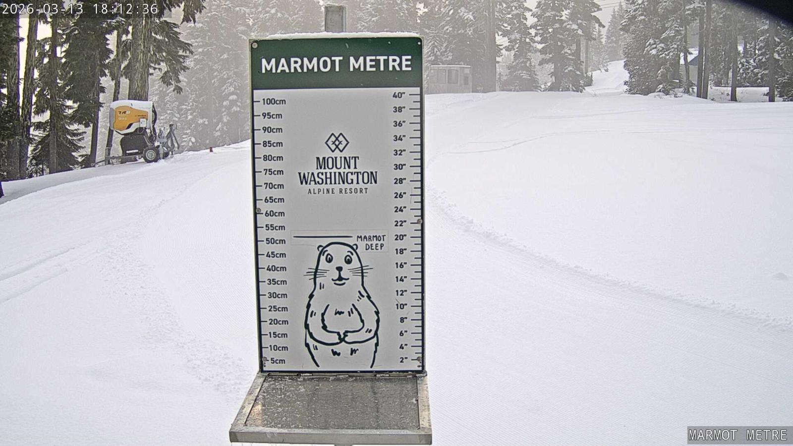 Webcam Mount Washington: Marmot Metre