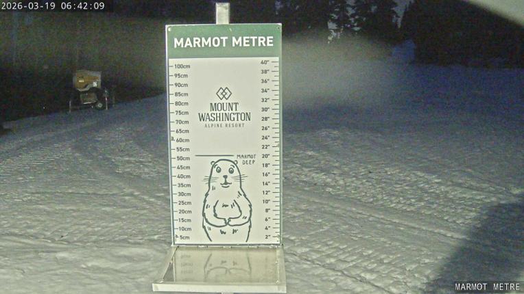 Webcam Mount Washington: Marmot Metre