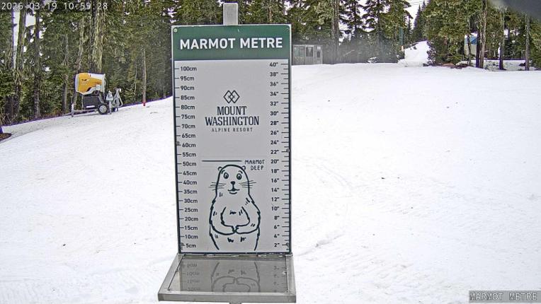 Webcam Mount Washington: Marmot Metre